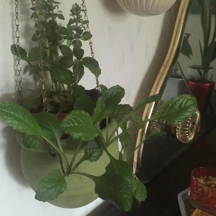 Arthome Smaland Ruda Dış mekan fotoğraf